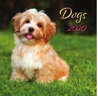 24t9800-06a - Dogs Lemeznaptr - 2024
