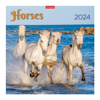 24t9800-10a - Horses Lemeznaptr - 2024