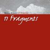 BINDER KROLY - 17 FRAGMENTS (17 TREDK)  GONDOLATOK EGY EMLKKNYVBE 2005 - CD -