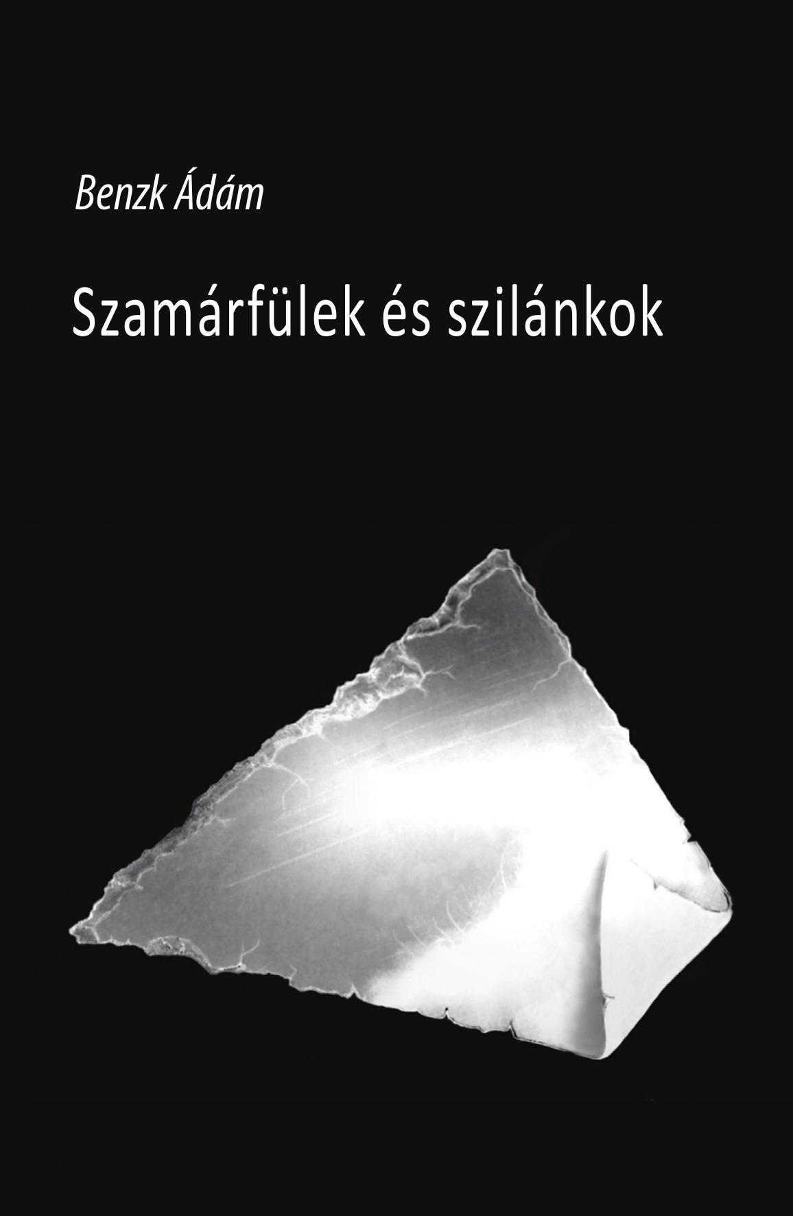 BENZK DM - SZAMRFLEK S SZILNKOK