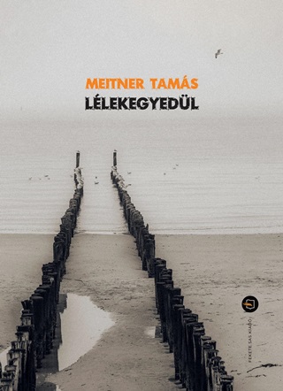 Meitner Tams - Llekegyedl