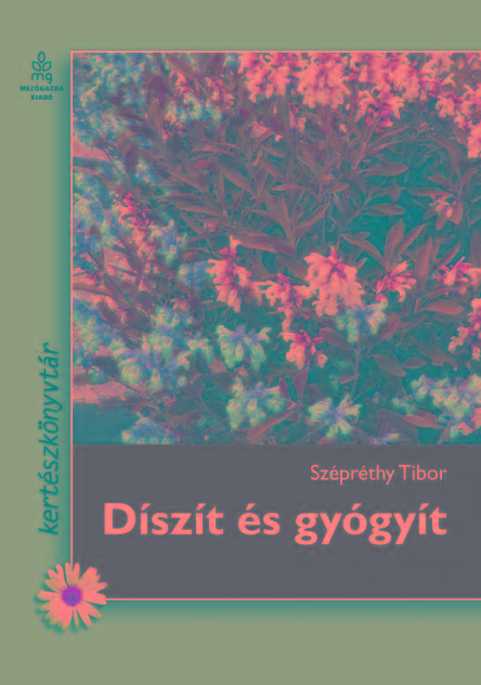 Szprthy Tibor - Dszt s Gygyt