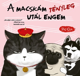 Paj Csa - A Macskm Tnyleg Utl Engem (Macska s Kutya 2.)