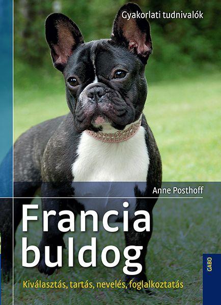Anne Posthoff - Francia Bulldog - Kivlaszts, Tarts, Nevels, Foglalkoztats