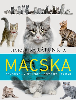  - Legjobb Bartunk, A Macska