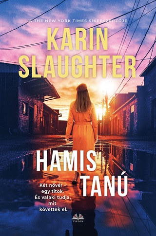 Karin Slaughter - Hamis Tan