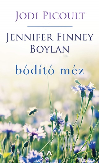 Jodi-Boylan Finney Picoult - Bdt Mz