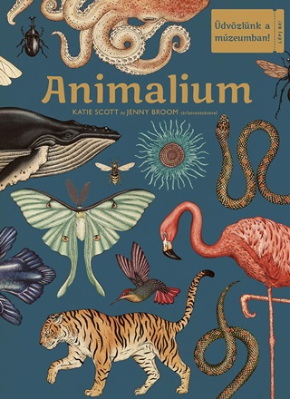 Kate - Broom Scott - Animalium - dvzlnk A Mzeumban!