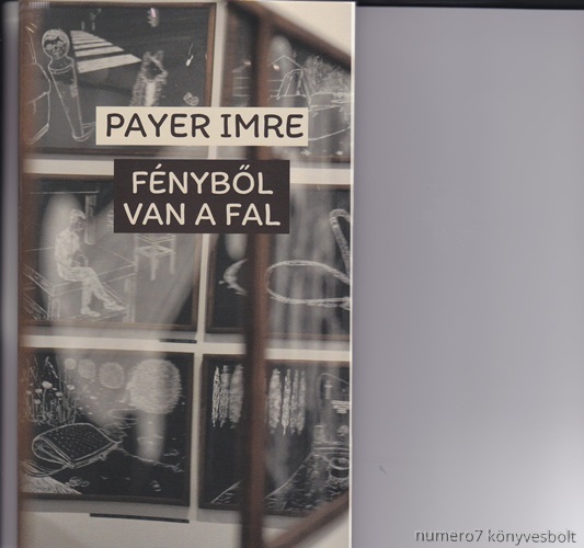Payer Imre - Fnybl Van A Fal