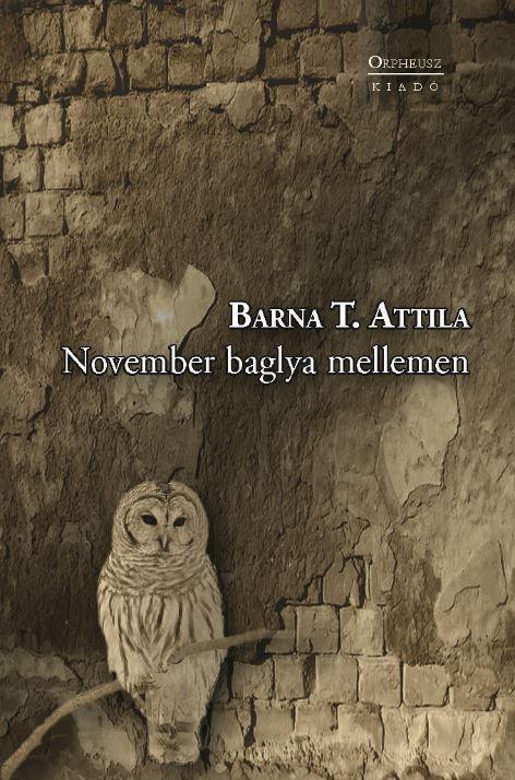 Barna T. Attila - November Baglya Mellemen