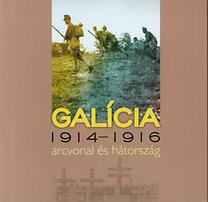 Sebestyn Mihly - Galcia 1914-1916 - Arcvonal s Htorszg