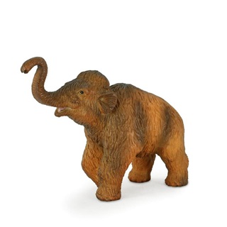  - Mojo Woolly Mammoth Bbi M
