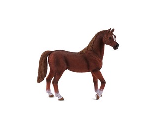 Mj387084 - Barna Arab Telivr L Xl
