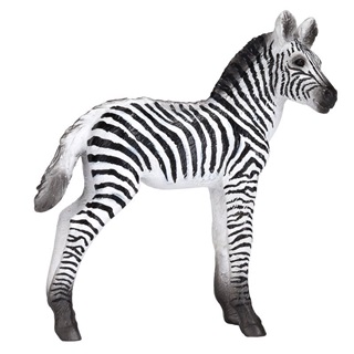 Mojo Zebra Nstny M