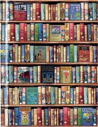 Ftsb37 - Flame Tree A4 Notesz Hobbies & Pastines Bookshelves