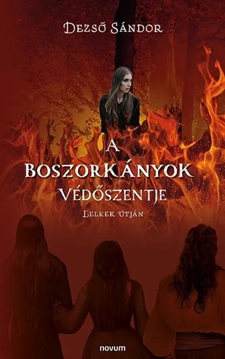 Dezs Sndor - A Boszorknyok Vdszentje