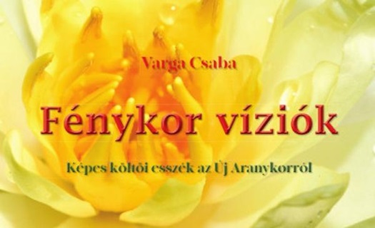 Varga Csaba - Fnykor Vzik