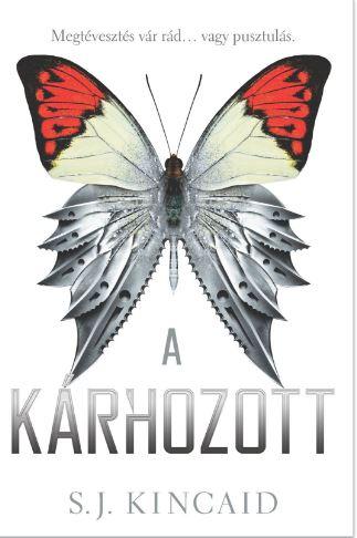 S.J. Kincaid - A Krhozott