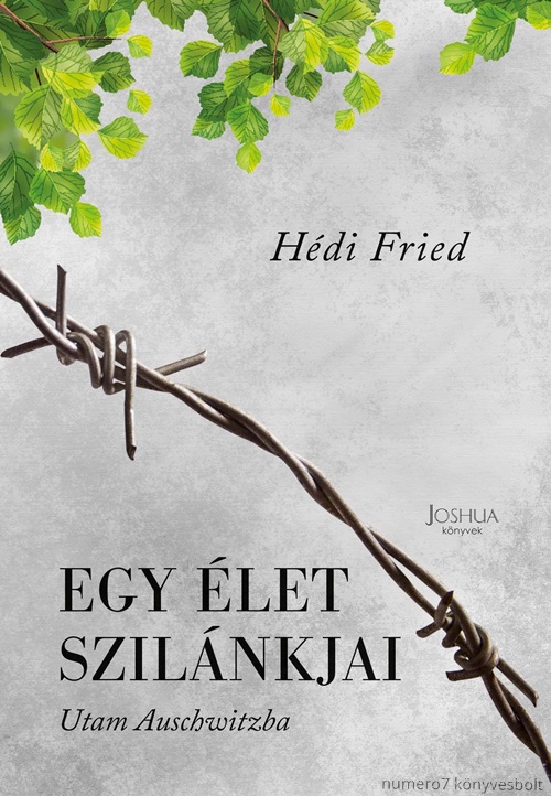 Hdi Fried - Egy let Szilnkjai - Utam Auschwitzba