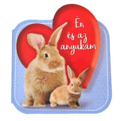 n s Az Anyukm