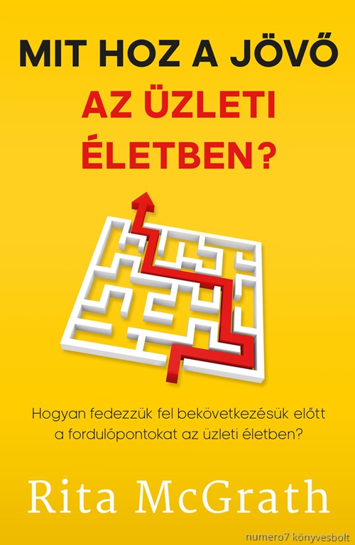 Rita Mcgrath - Mit Hoz A Jv Az zleti letben?