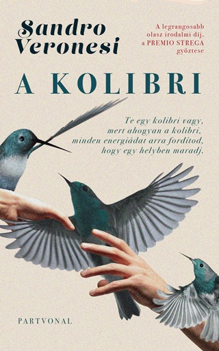 Sandro Veronesi - A Kolibri