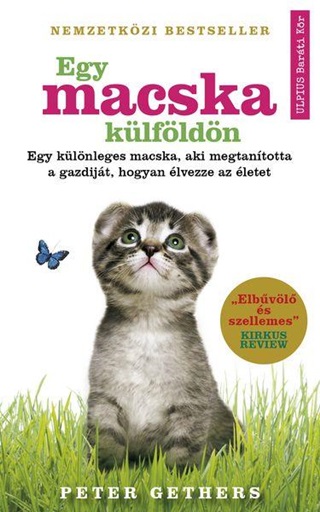 Egy Macska Klfldn