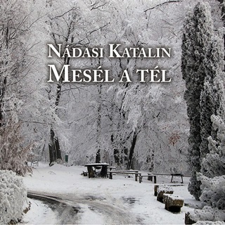 Ndasi Katalin - Mesl A Tl - Hangosknyv