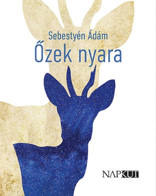 Sebestyn dm - zek Nyara