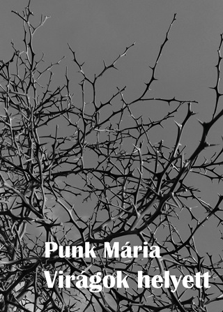 Punk Mria - Virgok Helyett