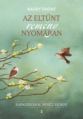 Az Eltnt Remny Nyomban