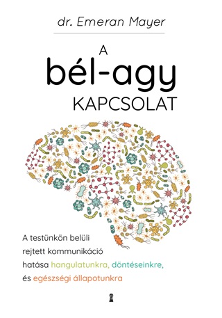 A Bl-Agy Kapcsolat