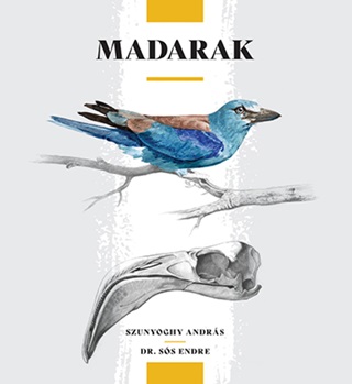 Szunyoghy Andrs - Dr. Ss Endre - Madarak