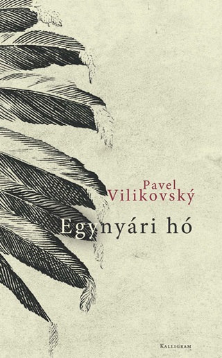 Pavel Vilikovsky - Egynyri H