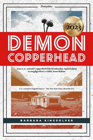 Barbara Kingslover - Demon Copperhead