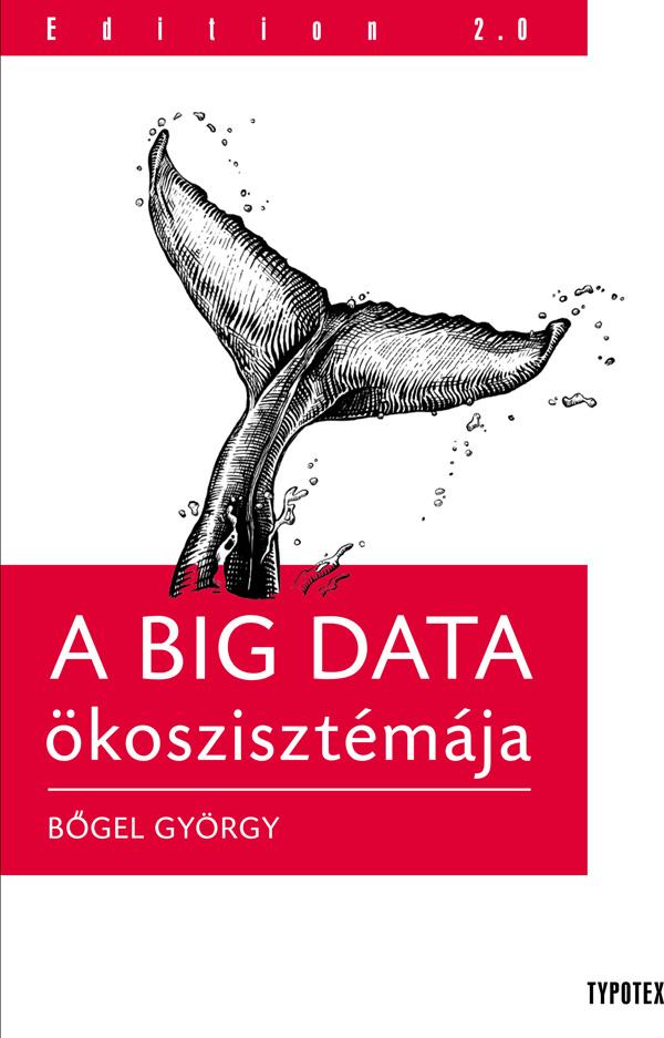 Bgel Gyrgy - A Big Data kosztisztmja