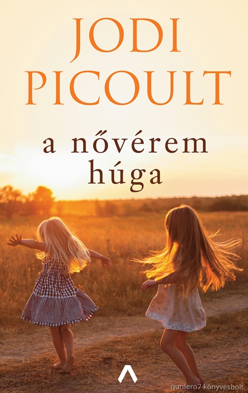 Jodi Picoult - A Nvrem Hga (6. Kiads)