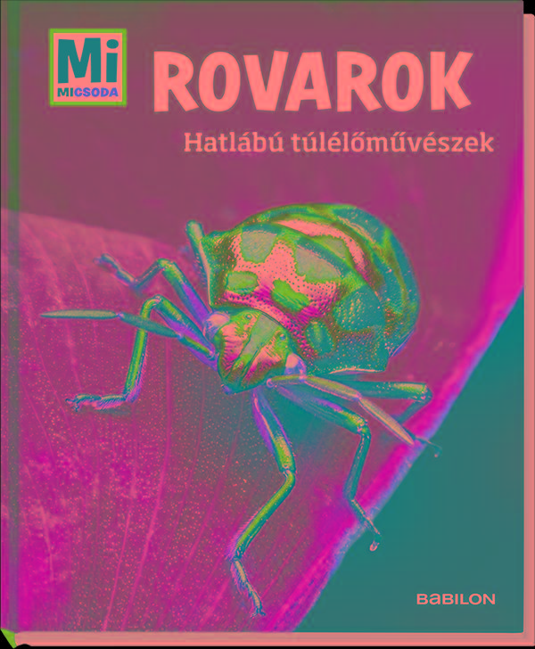 Alexandra Rigos - Rovarok - Hatlb Tllmvszek - Mi Micsoda