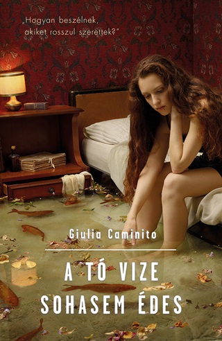 A T Vize Sohasem des