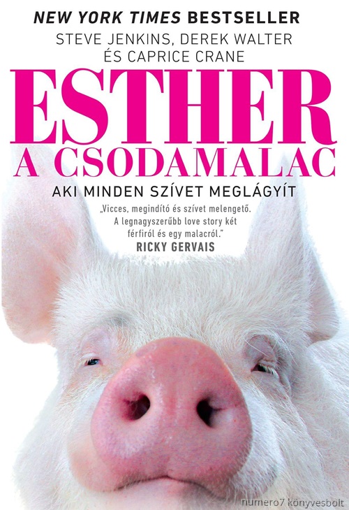 Steve - Walter Jenkins - Esther, A Csodamalac