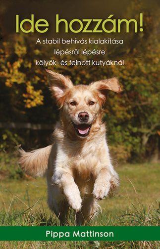 Pippa Mattinson - Ide Hozzm! - A Stabil Behvs Kialaktsa Lpsrl Lpsre Klyk- s Felntt