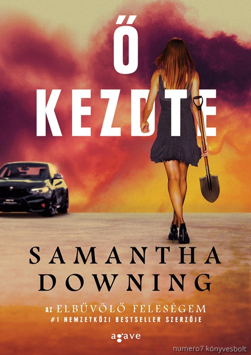 Samantha Downing -  Kezdte