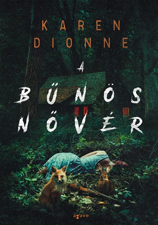 Karen Dionne - A Bns Nvr