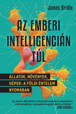 James Bridle - Az Emberi Intelligencin Tl