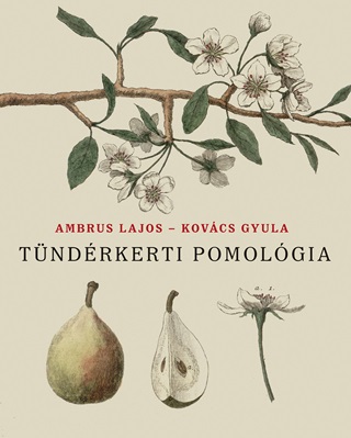 Ambrus Lajos-Kovcs Gyula - Tndrkerti Pomolgia