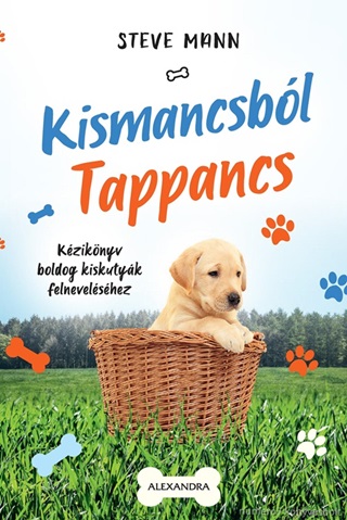 Steve Mann - Kismancsbl Tappancs