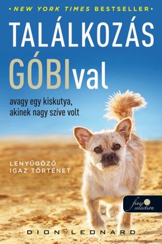 Dion Leonard - Tallkozs Gbival, Avagy Egy Kiskutya, Akinek Nagy Szve Volt
