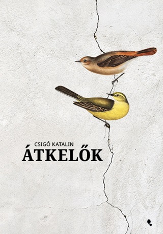tkelk - Fztt