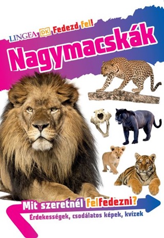 Nagymacskk - Fedezd Fel!