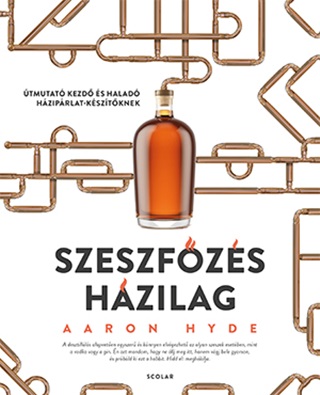 Aaron Hyde - Szeszfzs Hzilag